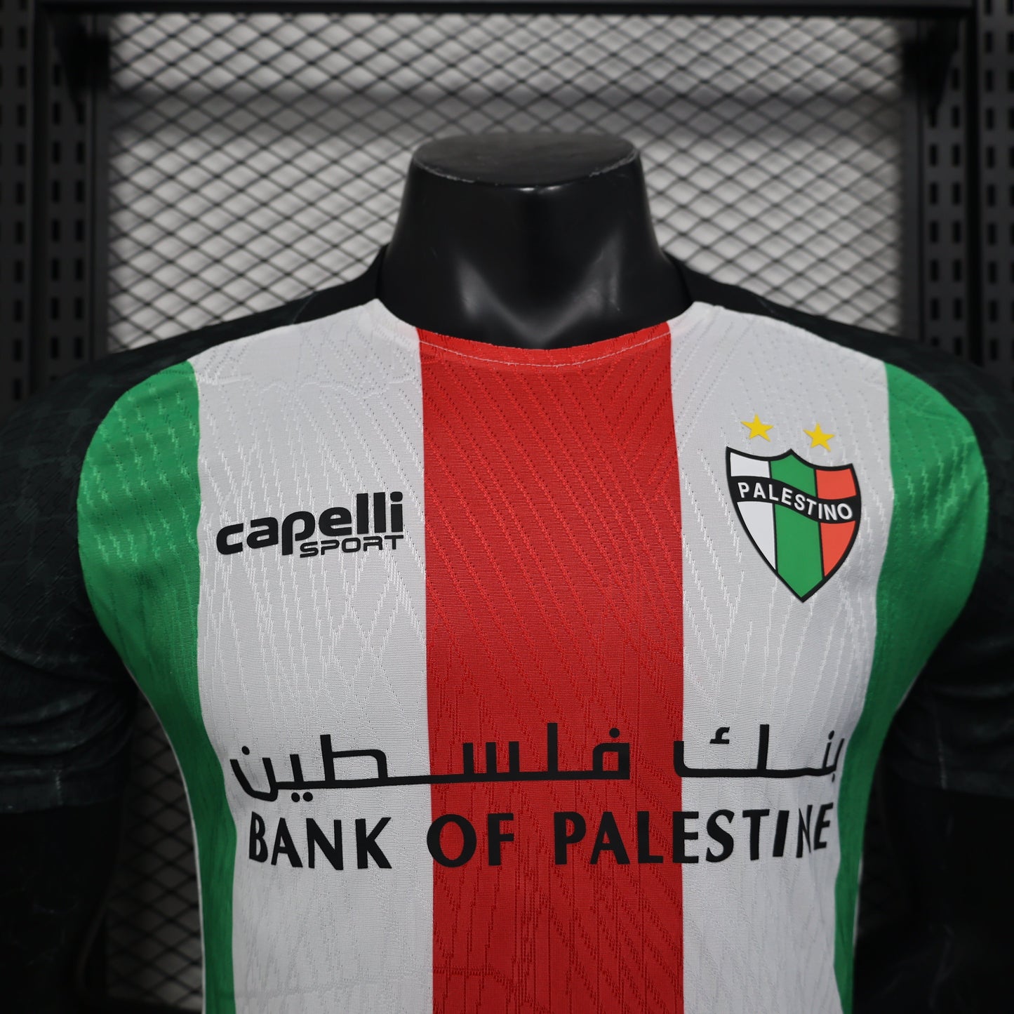 Deportivo Palestino Home Kit 24/25