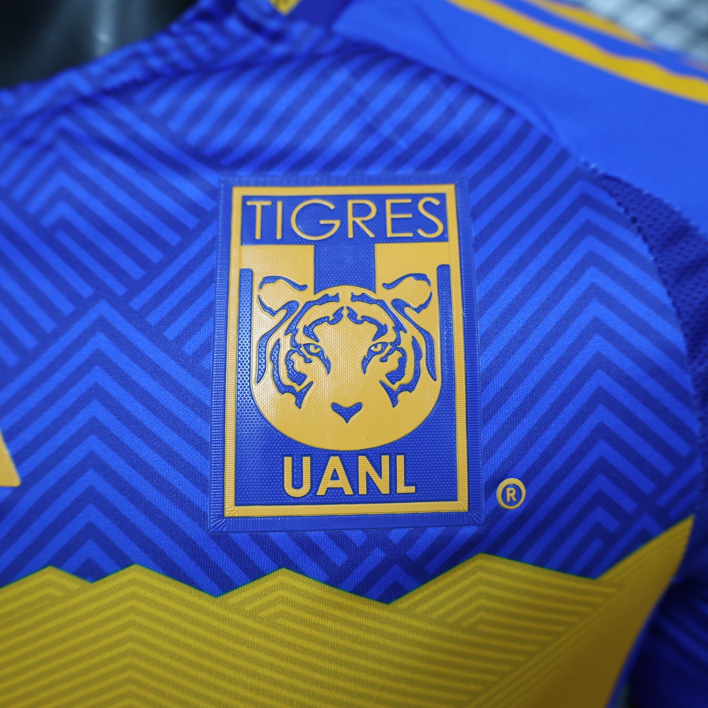 Tigres UANL Away Kit 24/25