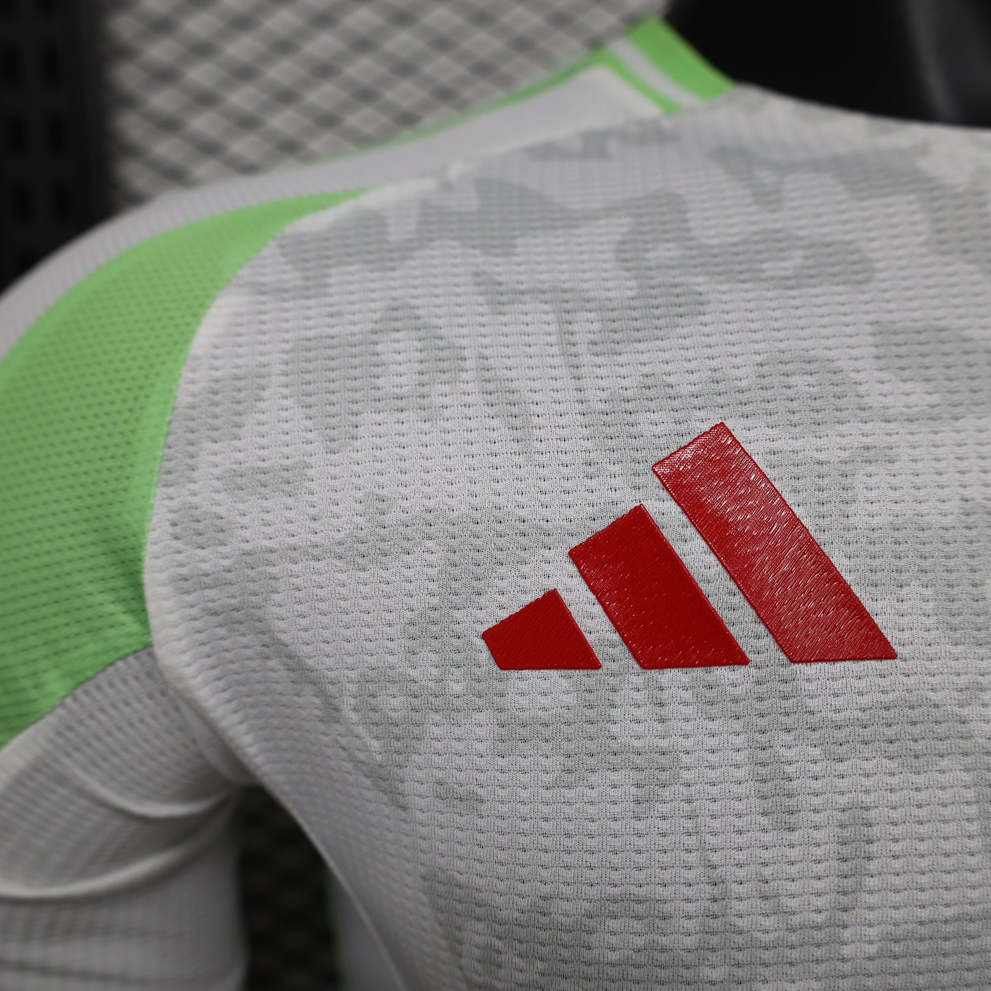 Algeria Home Kit 24/25