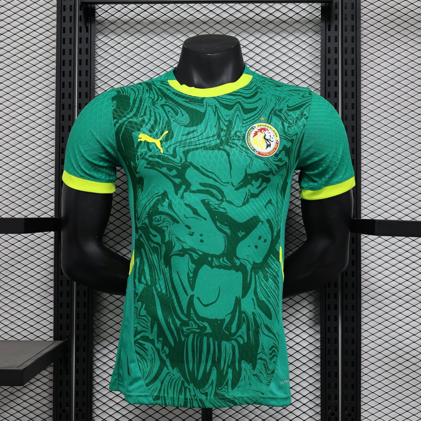 Senegal Home Kit 24/25