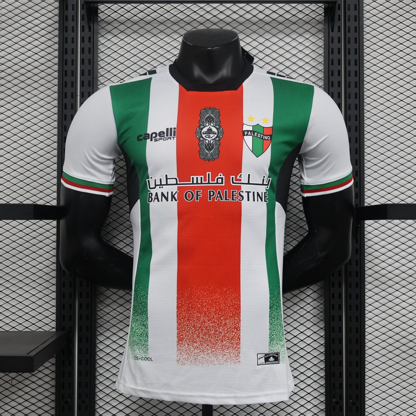 Deportivo Palestino Home Kit 23/24