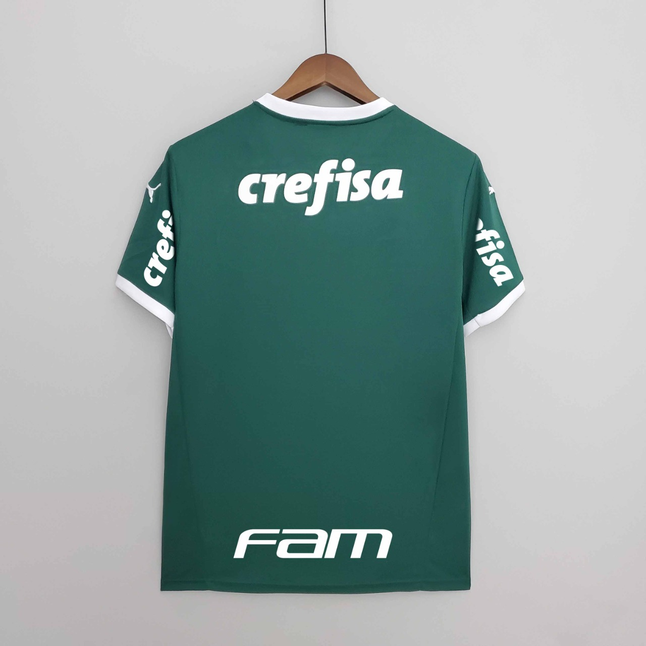 Palmeiras Home Kit 22/23