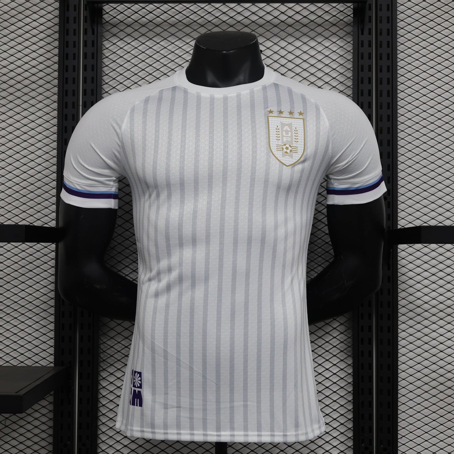 Uruguay Away Kit 24/25