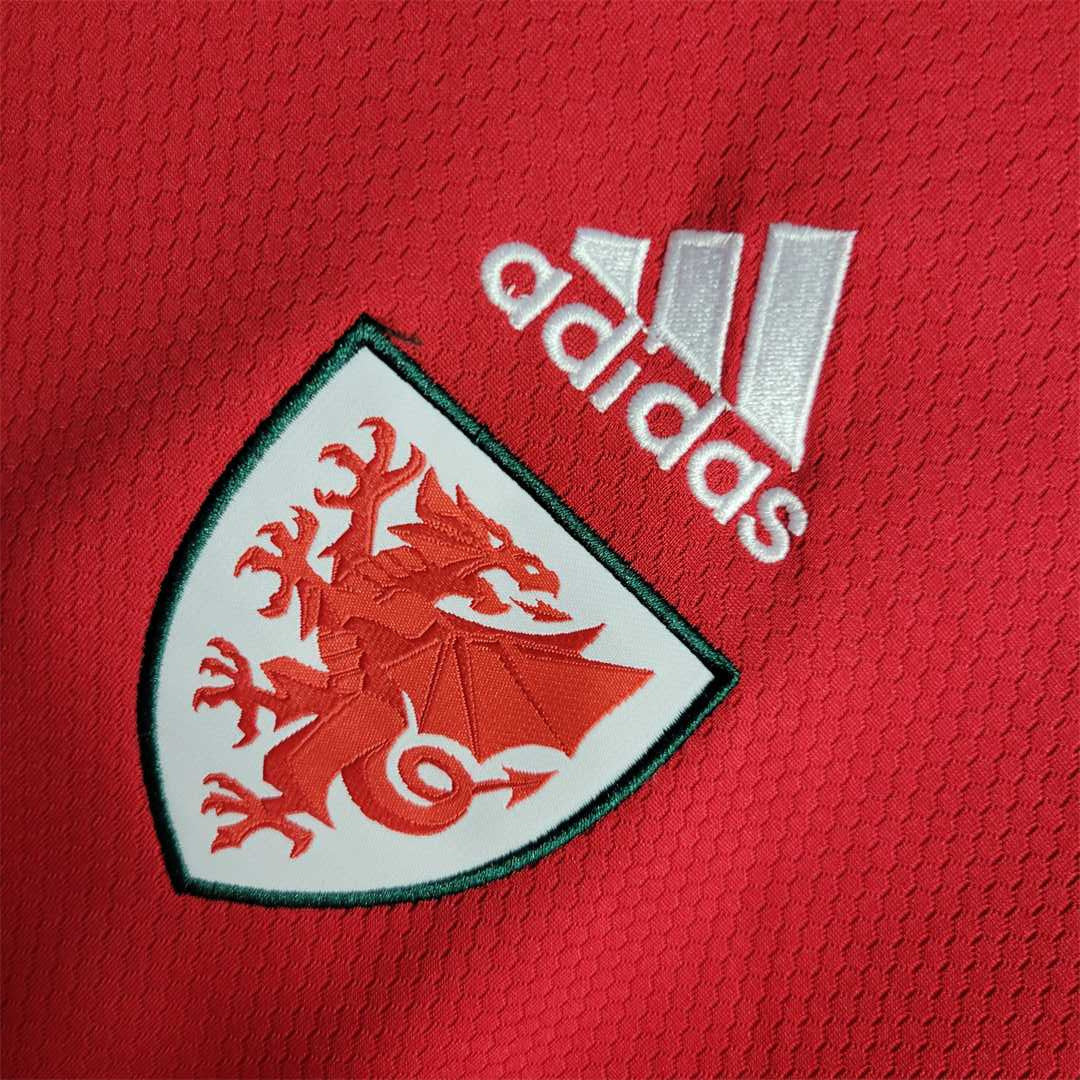 Wales Home Kit 21/22