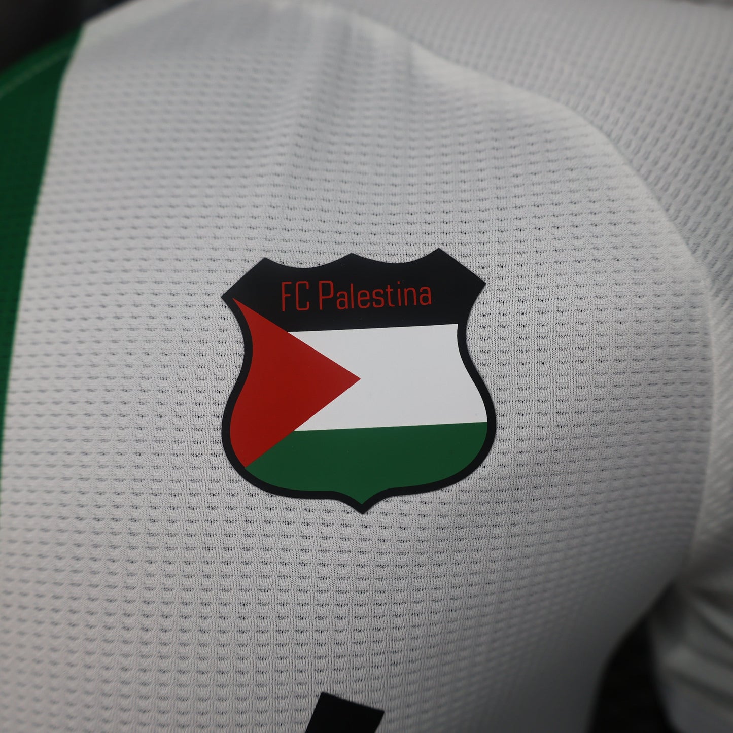 Palestine Away Kit 24/25