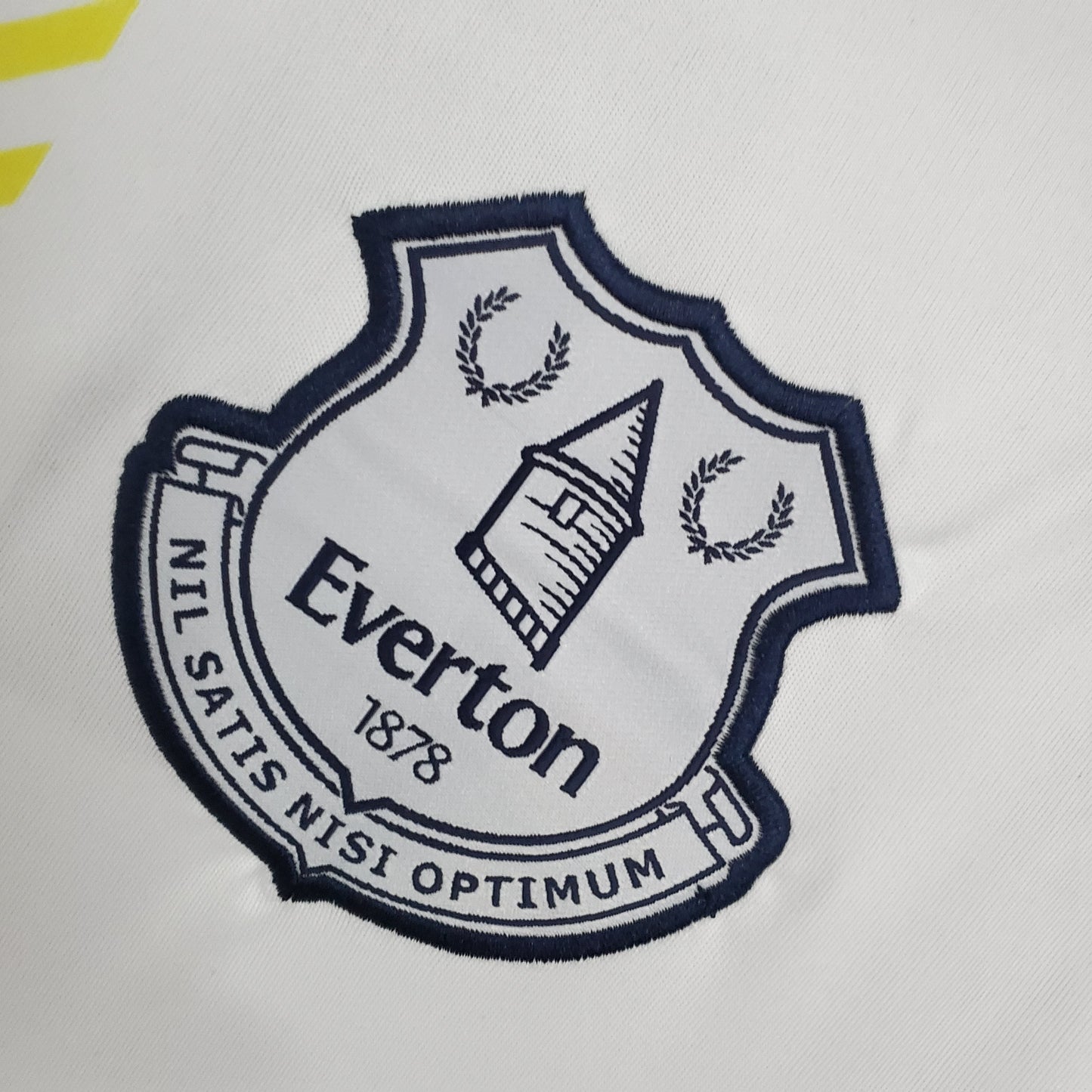 Everton Third Kit 21/22