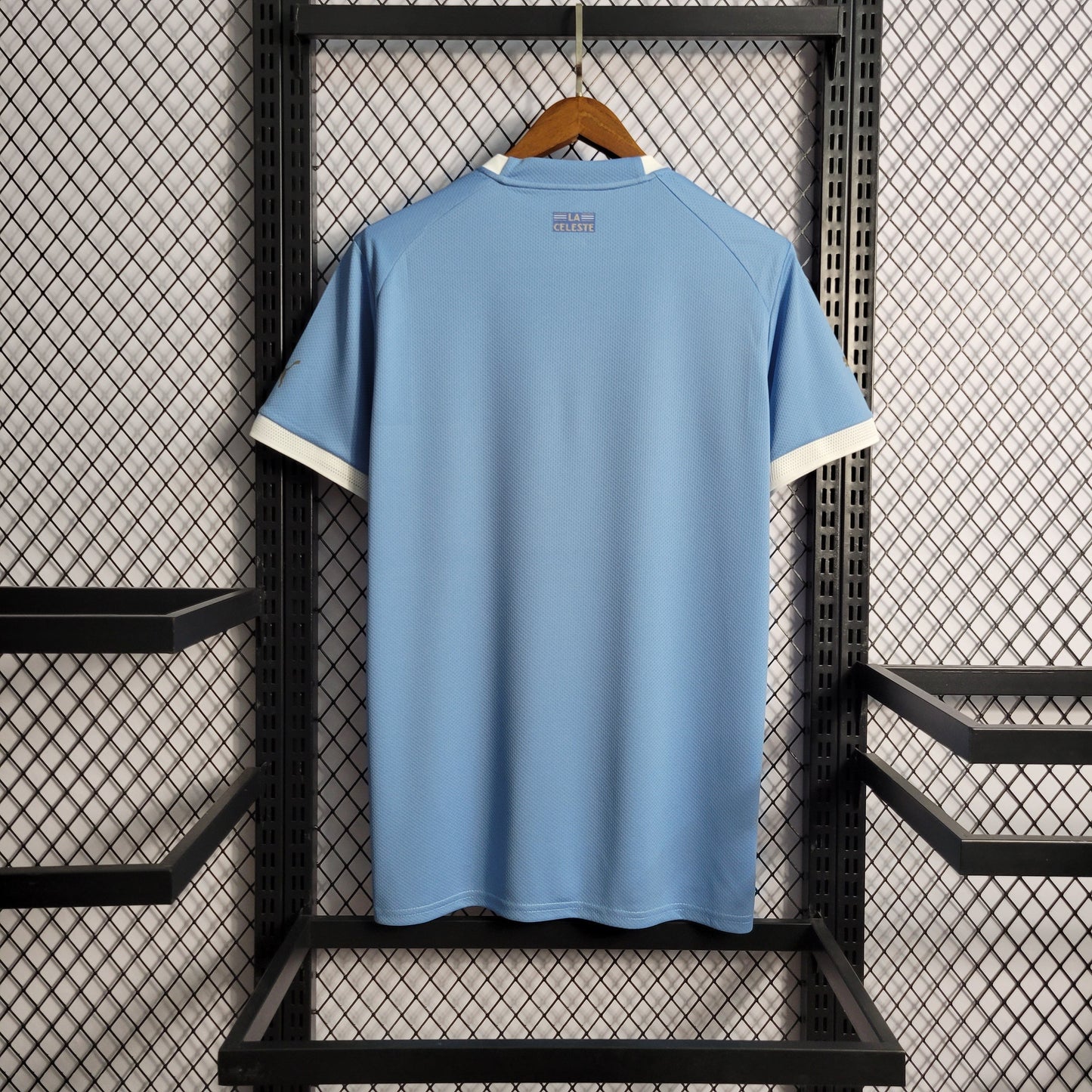 Uruguay Home Kit 21/22