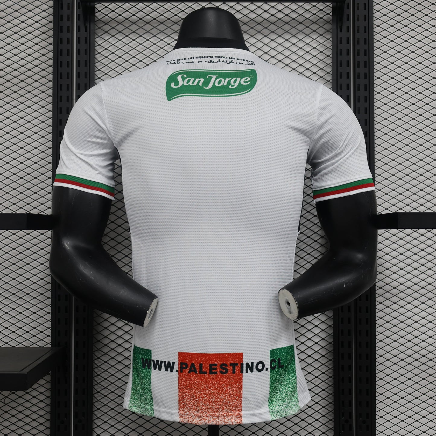 Deportivo Palestino Home Kit 23/24