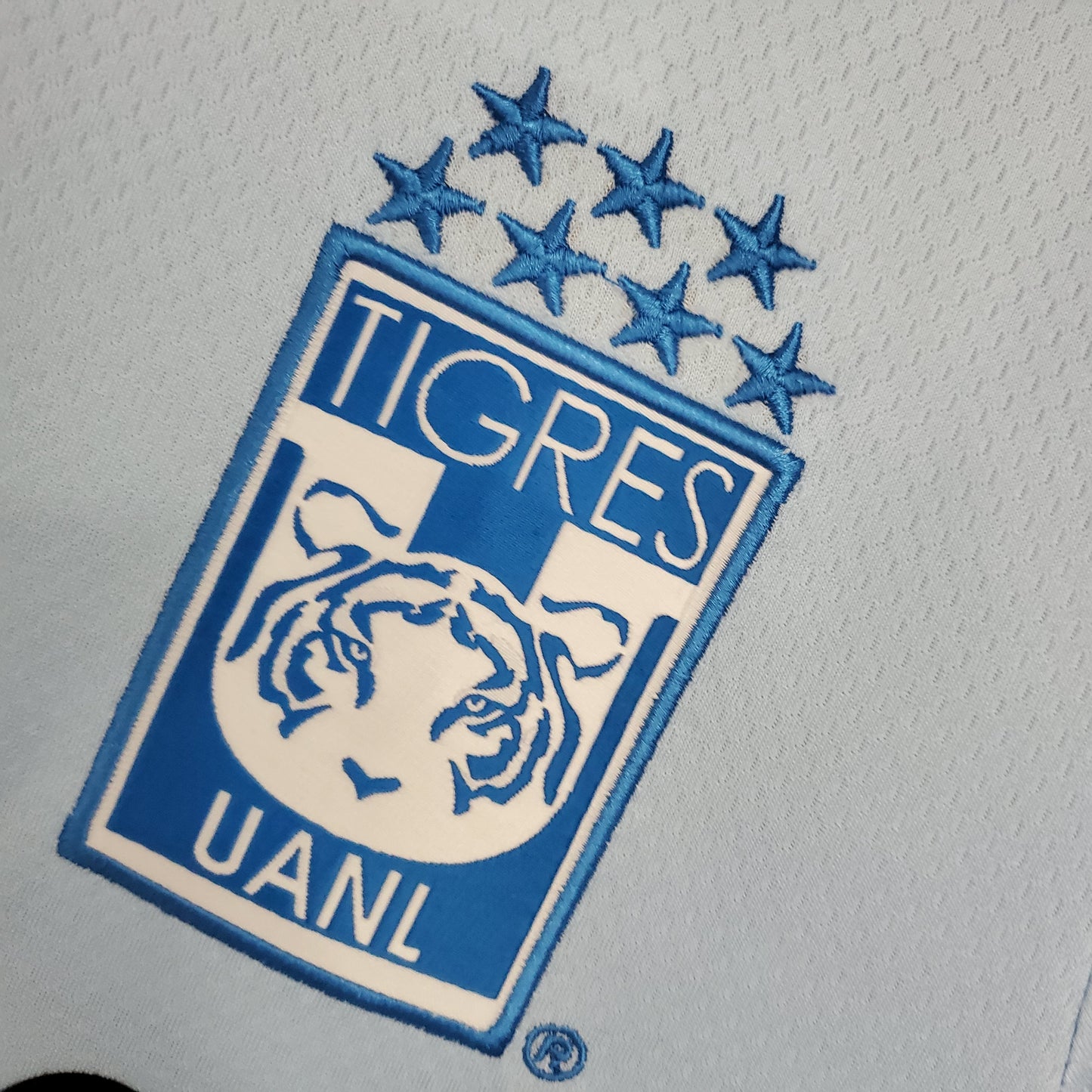 Tigres UANL Away Kit 21/22