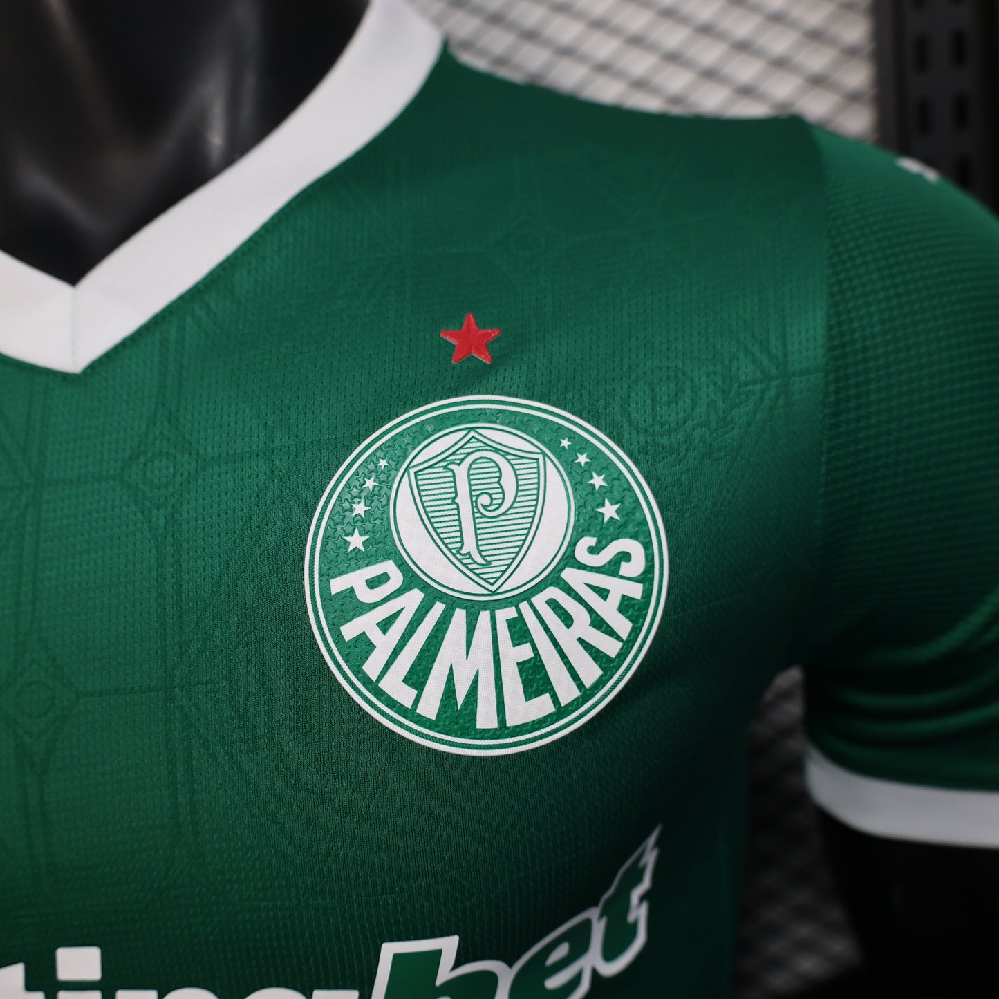 Palmeiras Home Kit 25/26