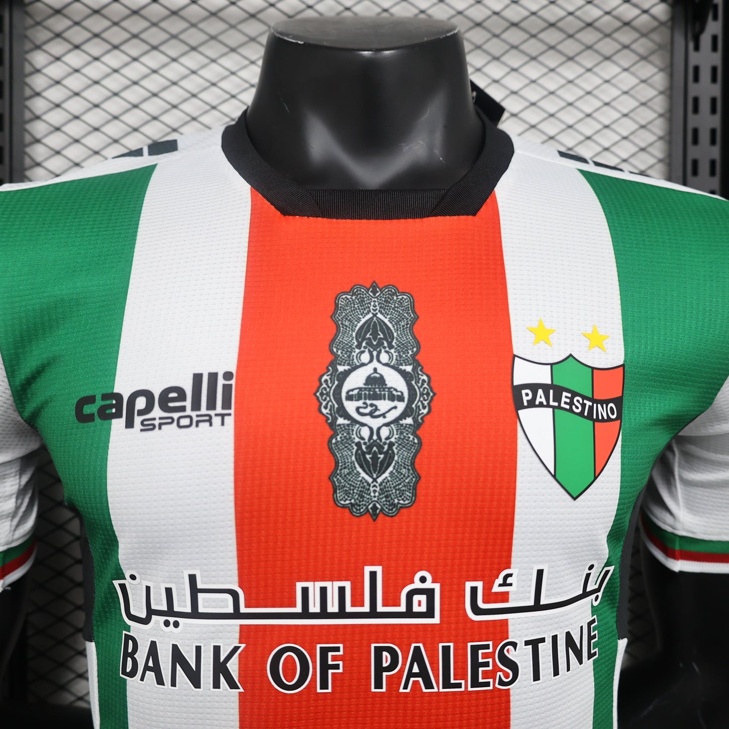 Deportivo Palestino Home Kit 23/24