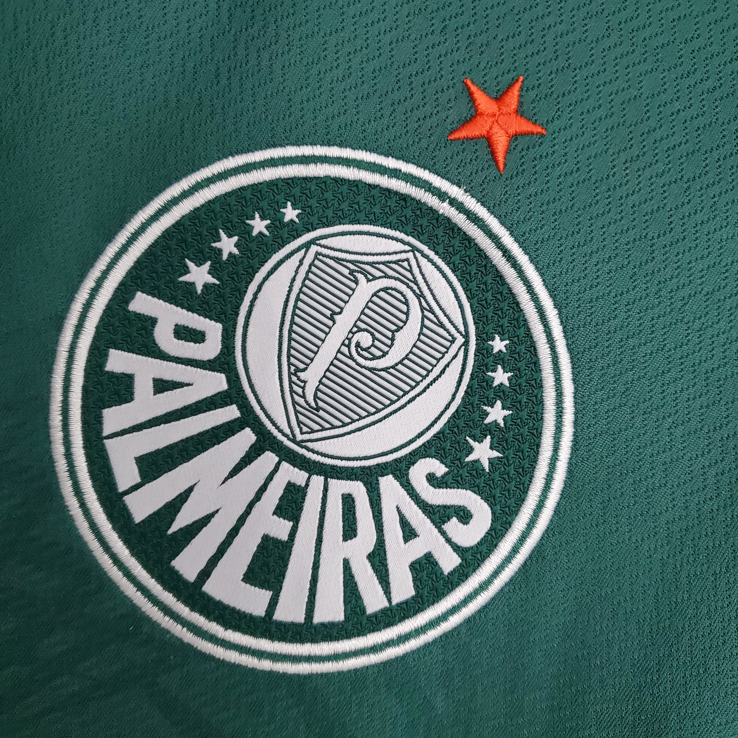 Palmeiras Home Kit 22/23