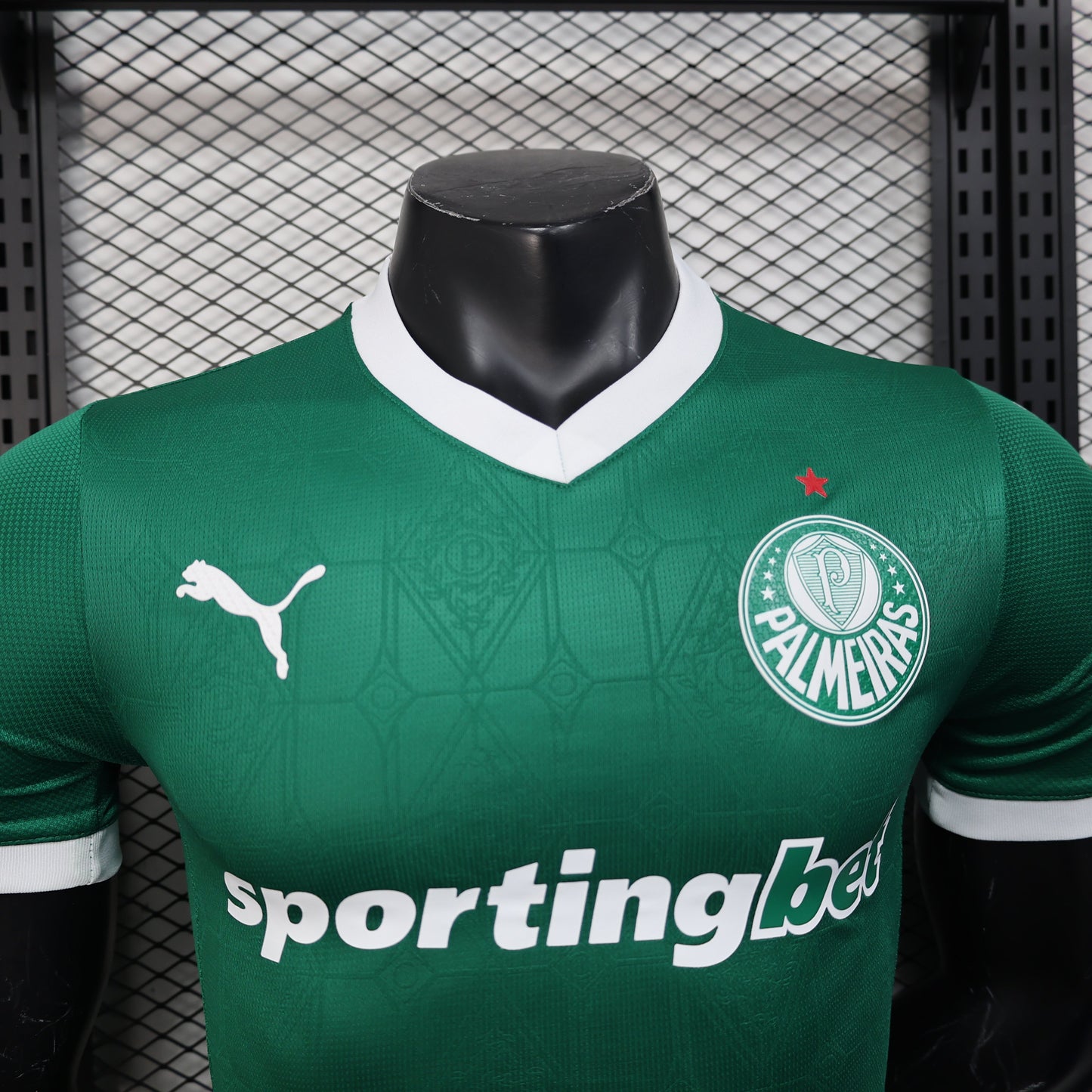 Palmeiras Home Kit 25/26