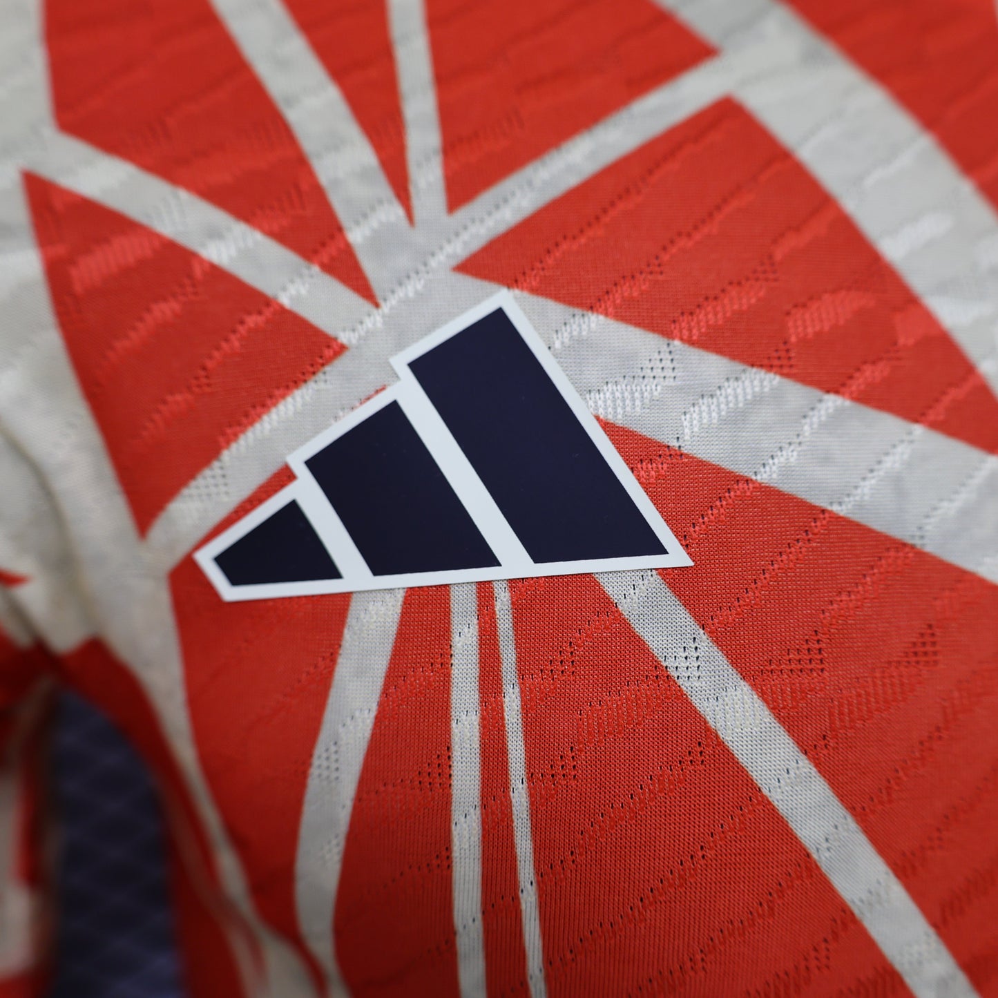 Bayern Munich "Crimson Glory" Kit 24/25