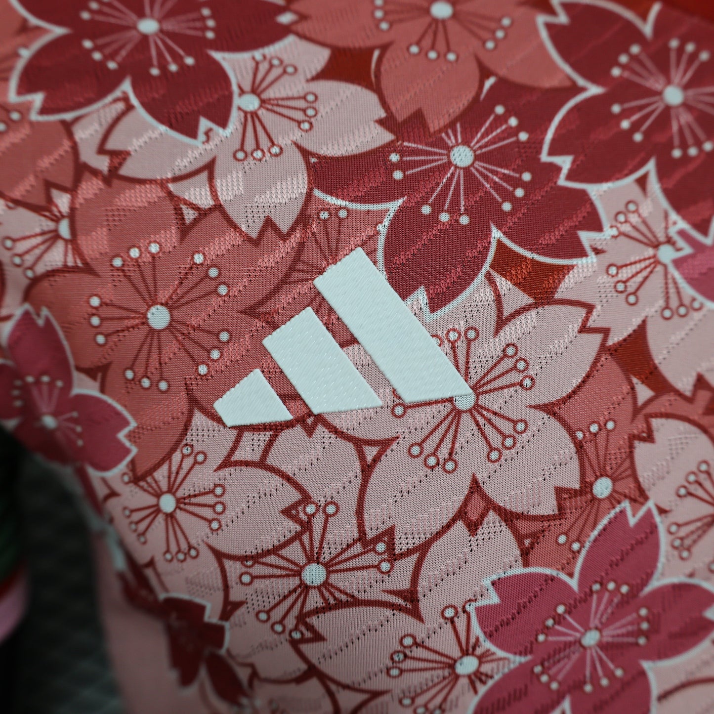 Japan "Sakura Blossom" Kit 23/24