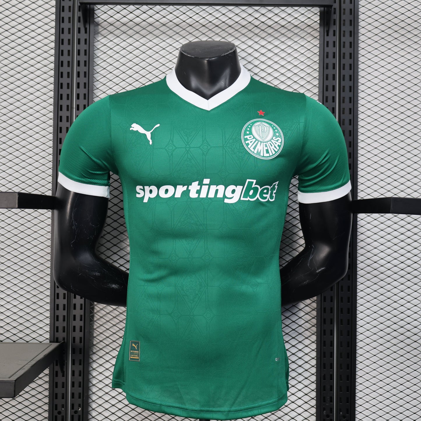 Palmeiras Home Kit 25/26