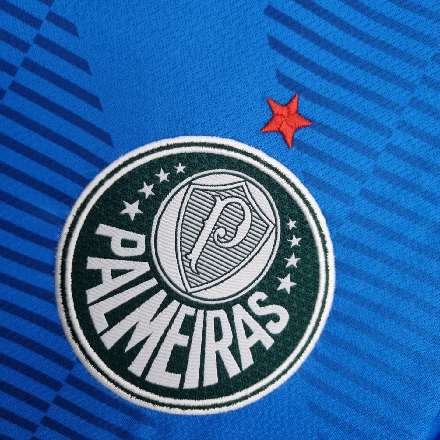 Palmeiras Goalkeeper Kit 22/23