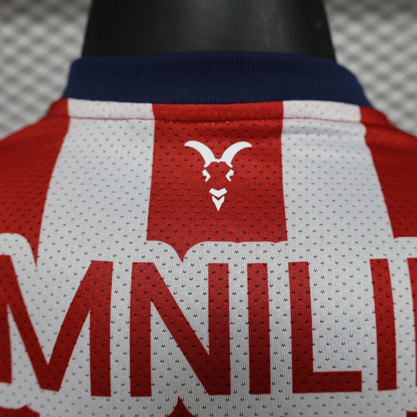 C.D. Guadalajara Home Kit 24/25