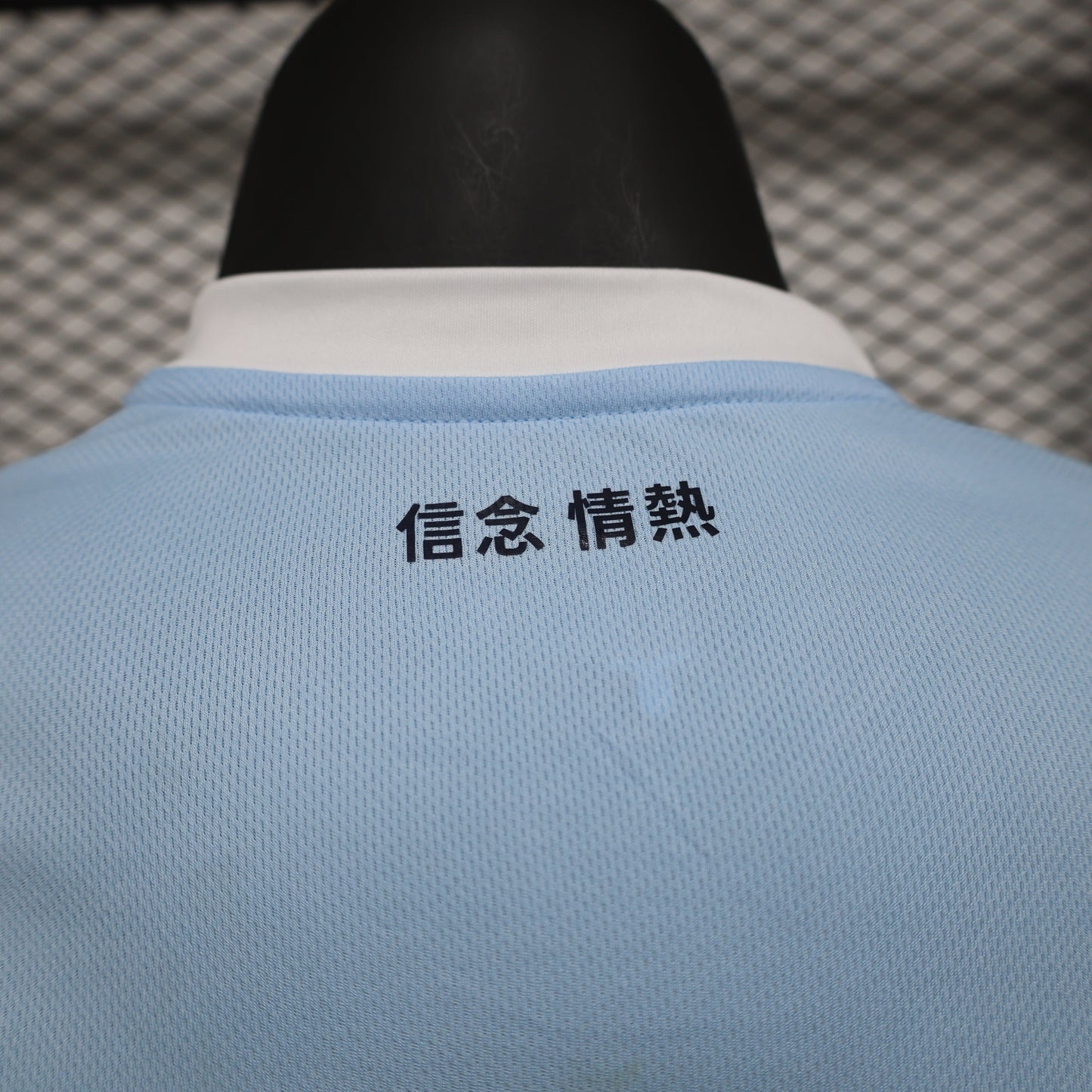 Lazio Home Kit 24/25