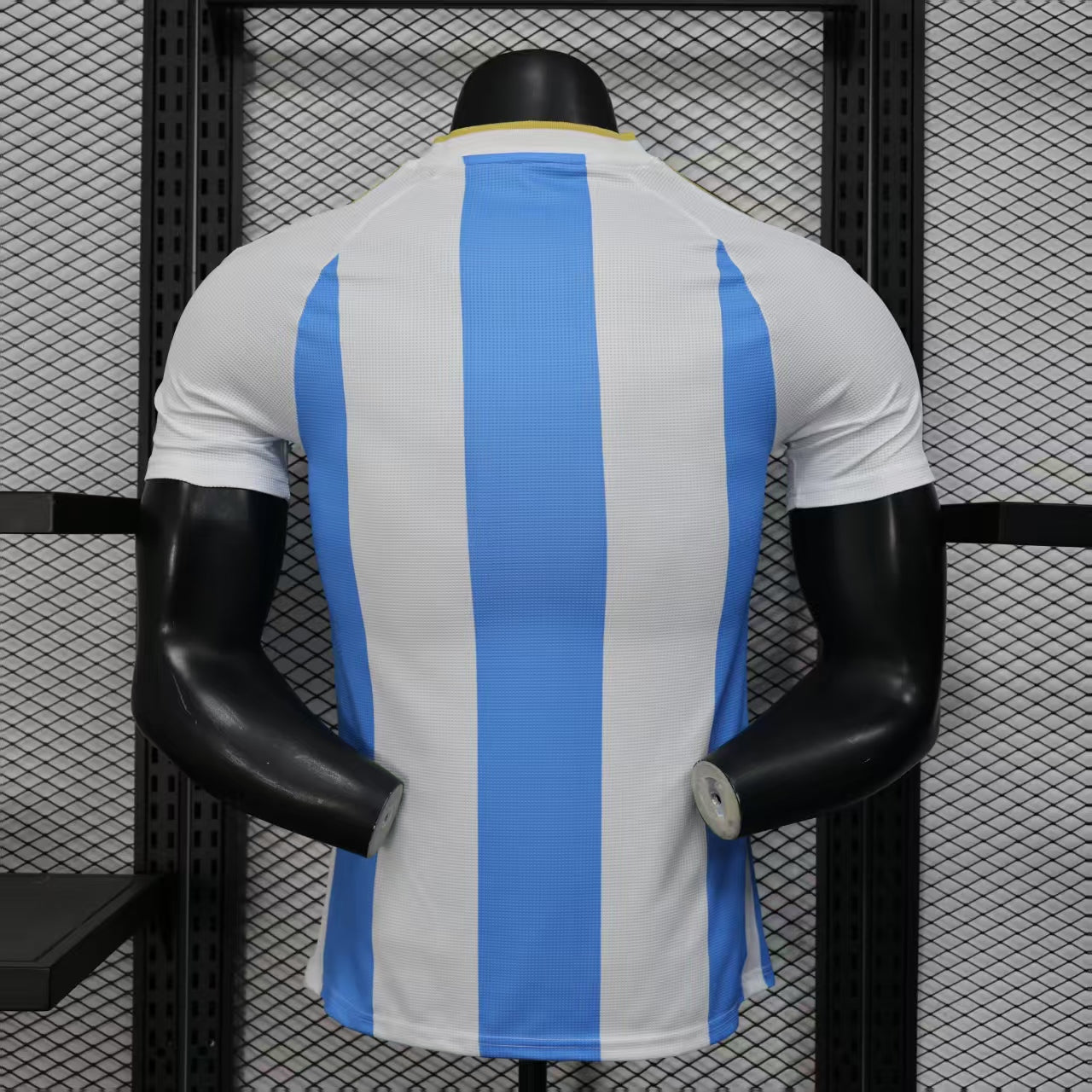 Argentina Home World Cup Kit 25/26