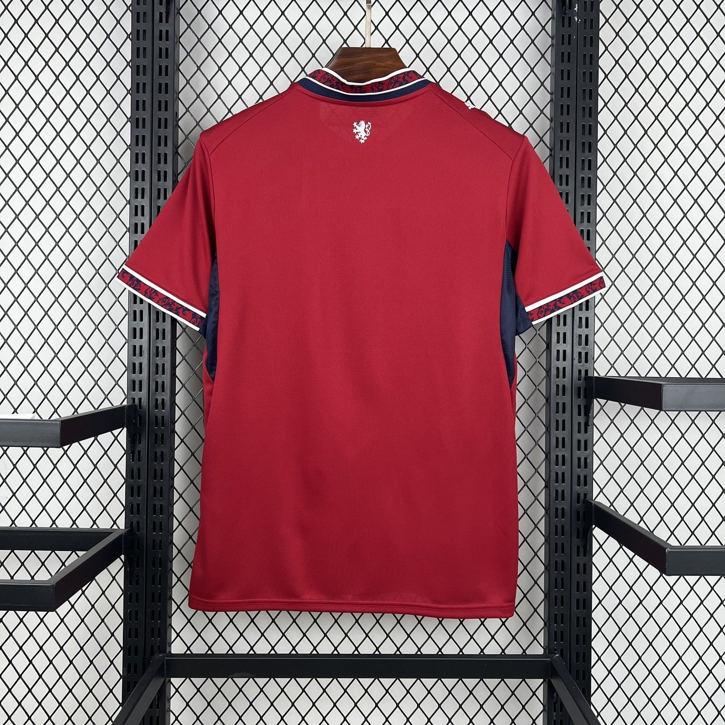 Czech Republic Home Kit 25/26