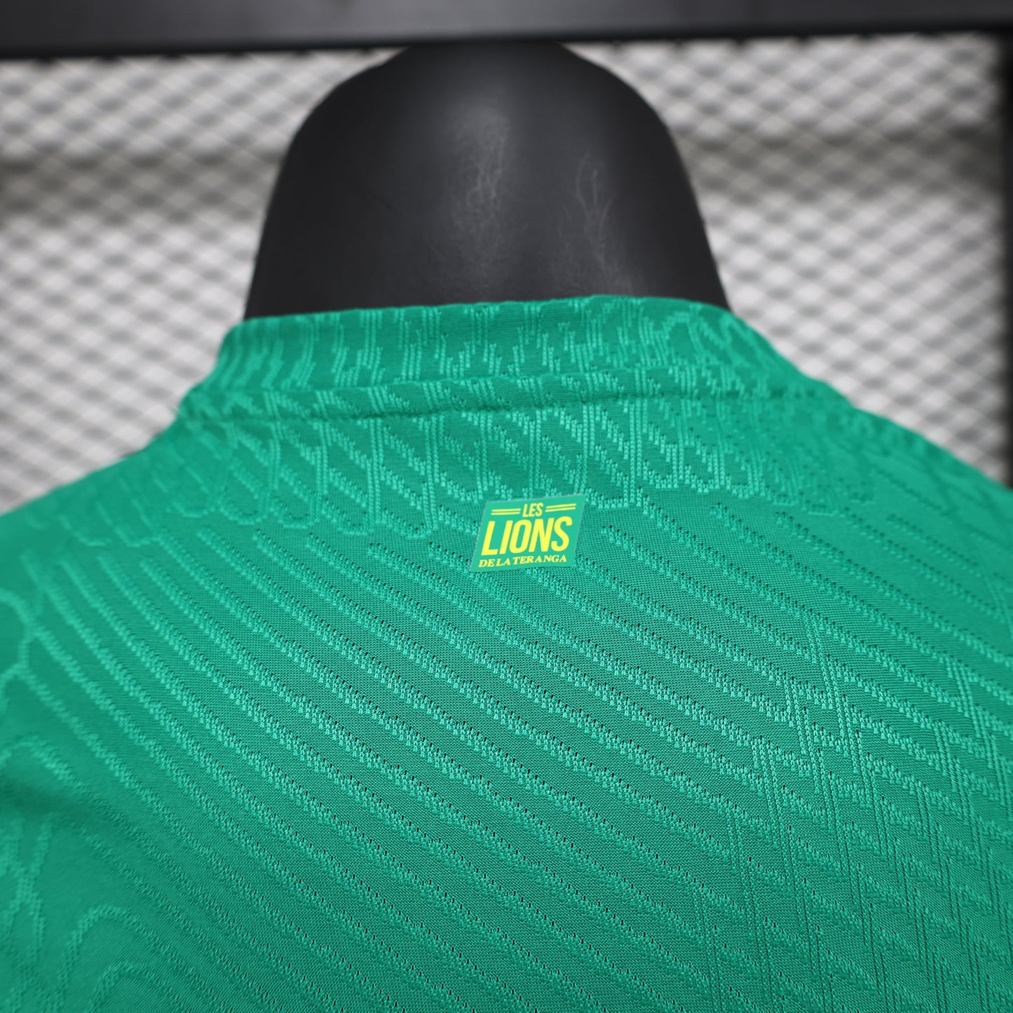 Senegal Home Kit 24/25