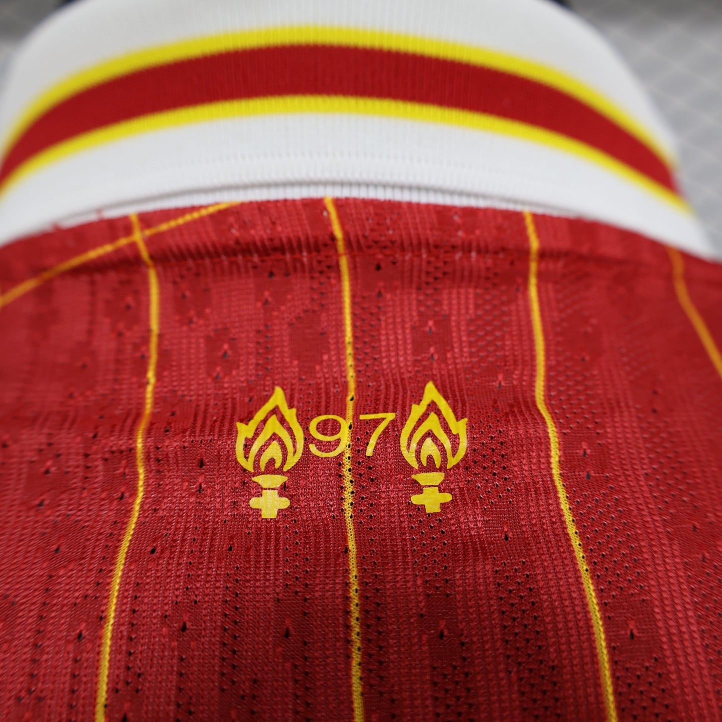 Liverpool Home Kit 24/25