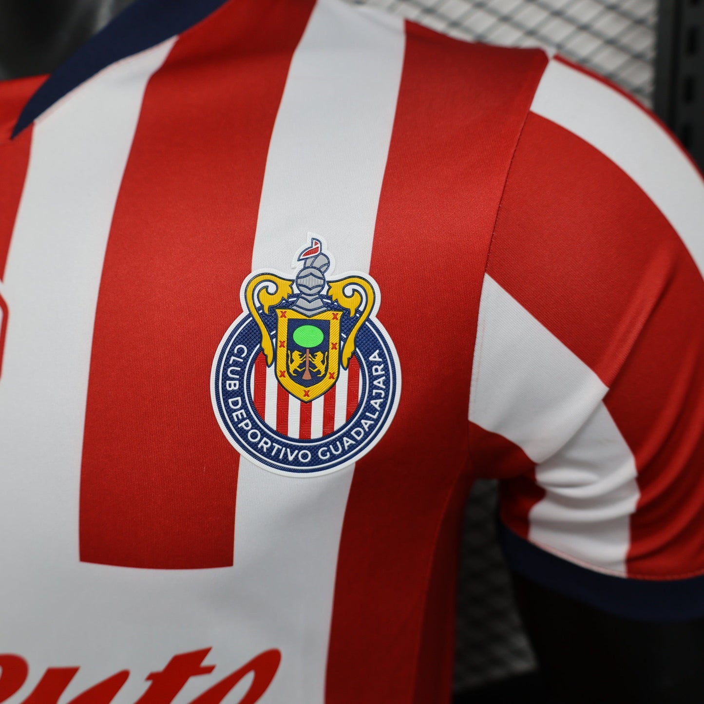 C.D. Guadalajara Home Kit 24/25