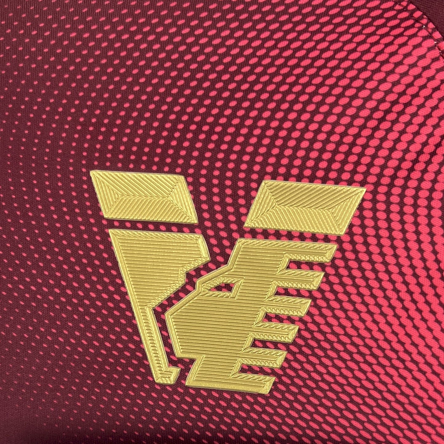 Venezia Pre-Match Kit 25/26