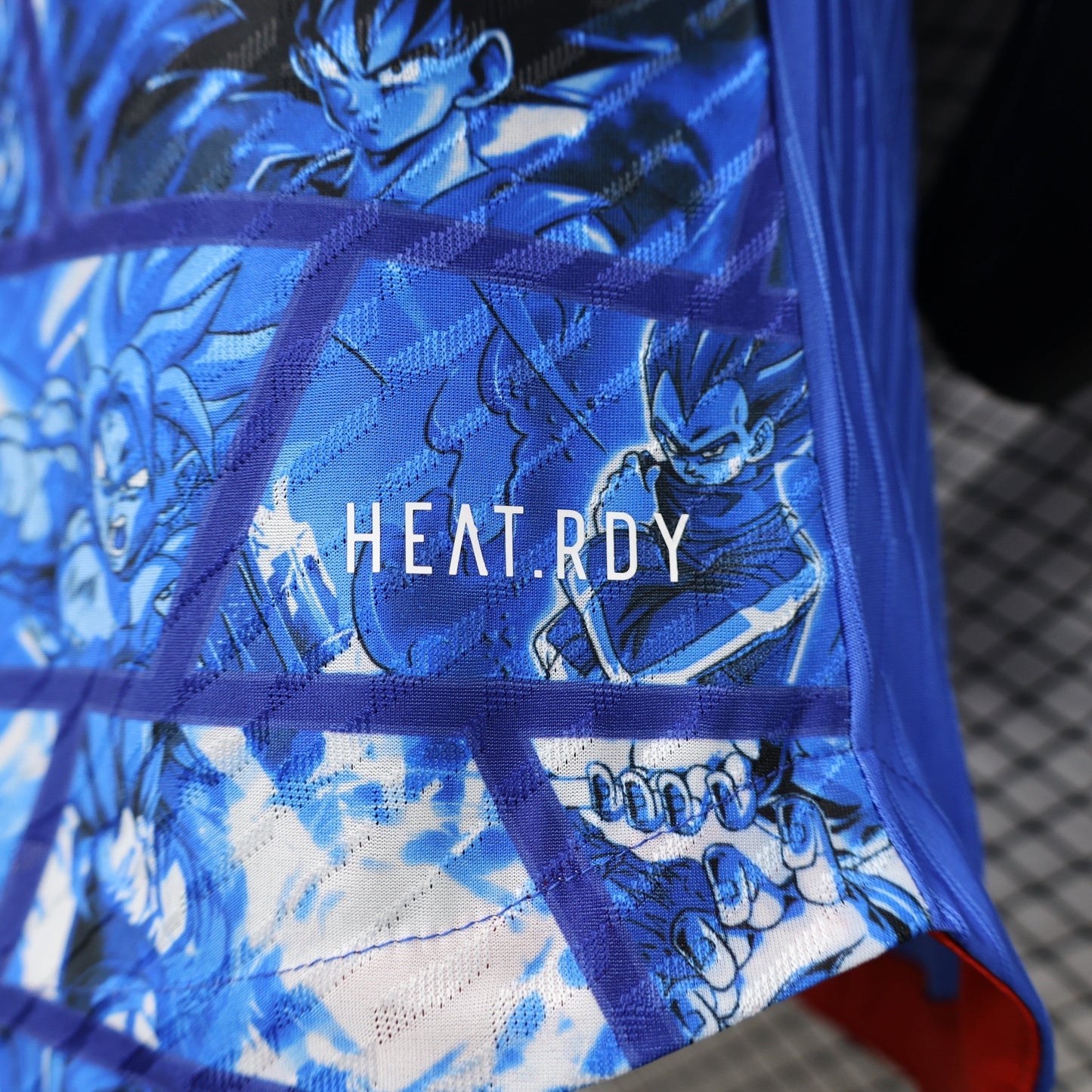 Japan "Ao no Seirei" Kit 23/24