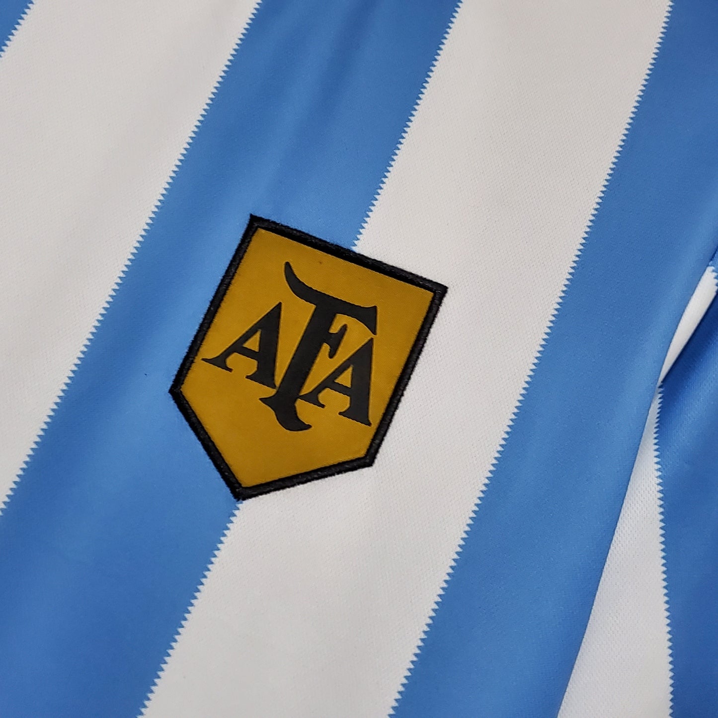 Argentina Home Kit 77/78