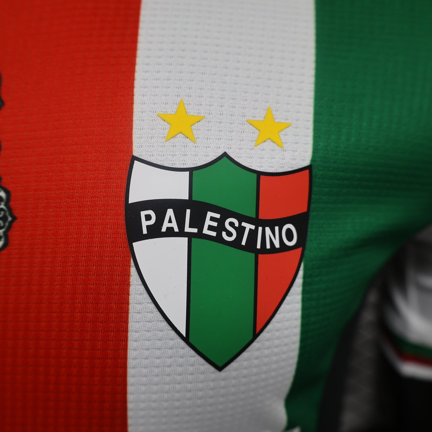Deportivo Palestino Home Kit 23/24