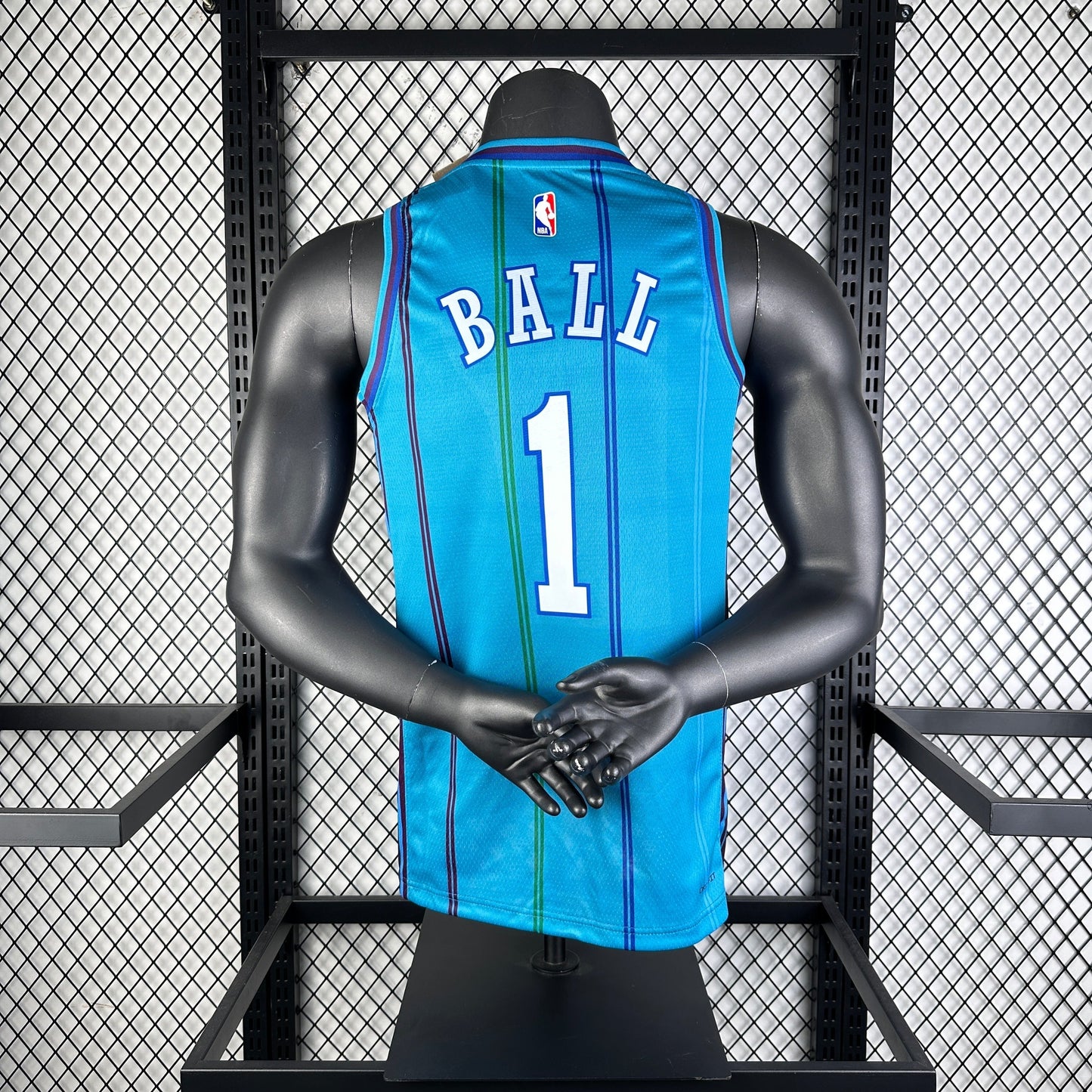 NBA Jersey: Charlotte Hornets