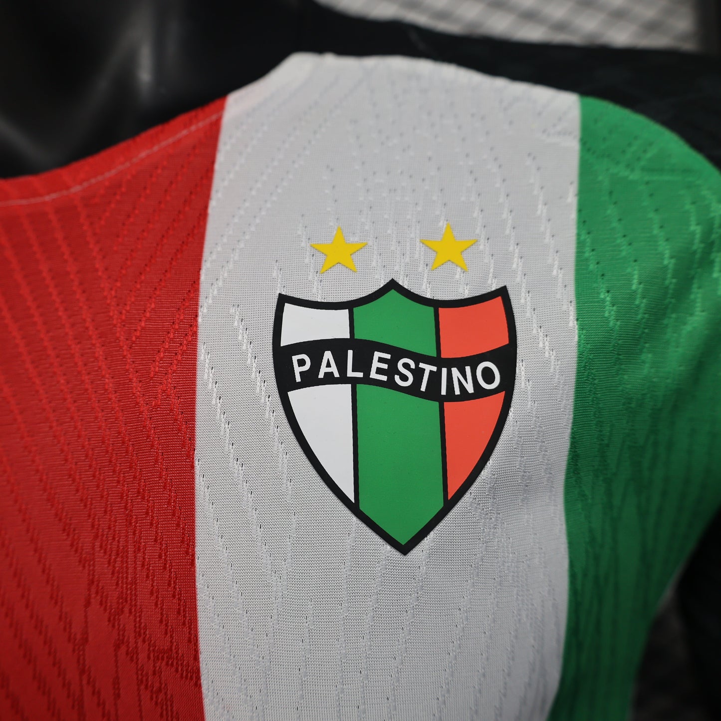 Deportivo Palestino Home Kit 24/25