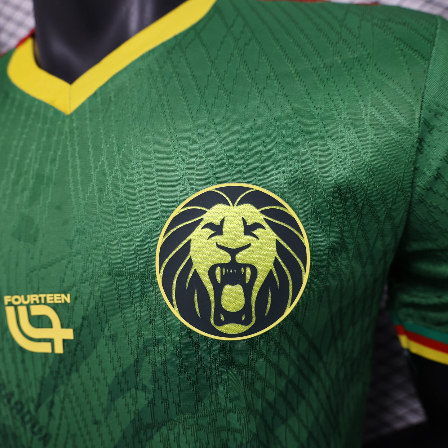 Cameroon Home World Cup Kit 25/26