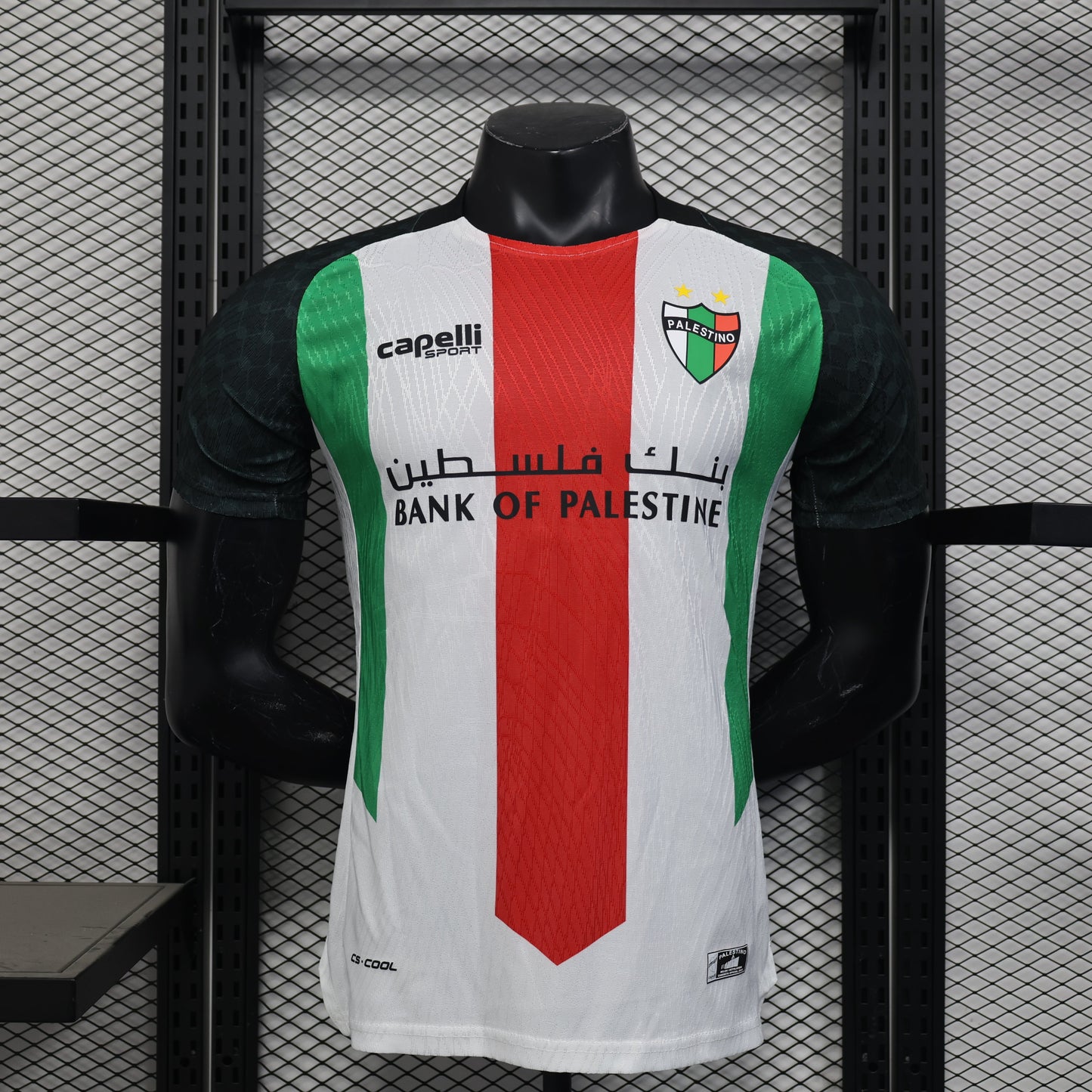 Deportivo Palestino Home Kit 24/25
