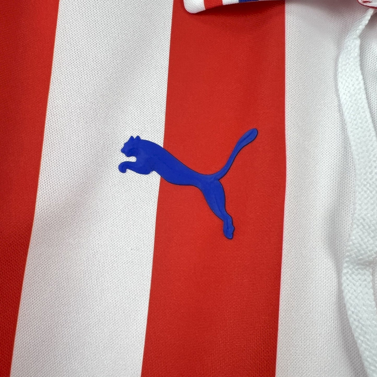 C.D. Guadalajara “100th Anniversary” Kit 16/17