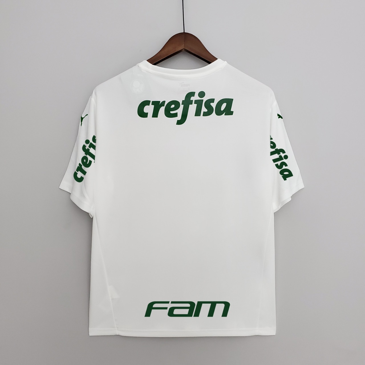 Palmeiras Away Kit 22/23