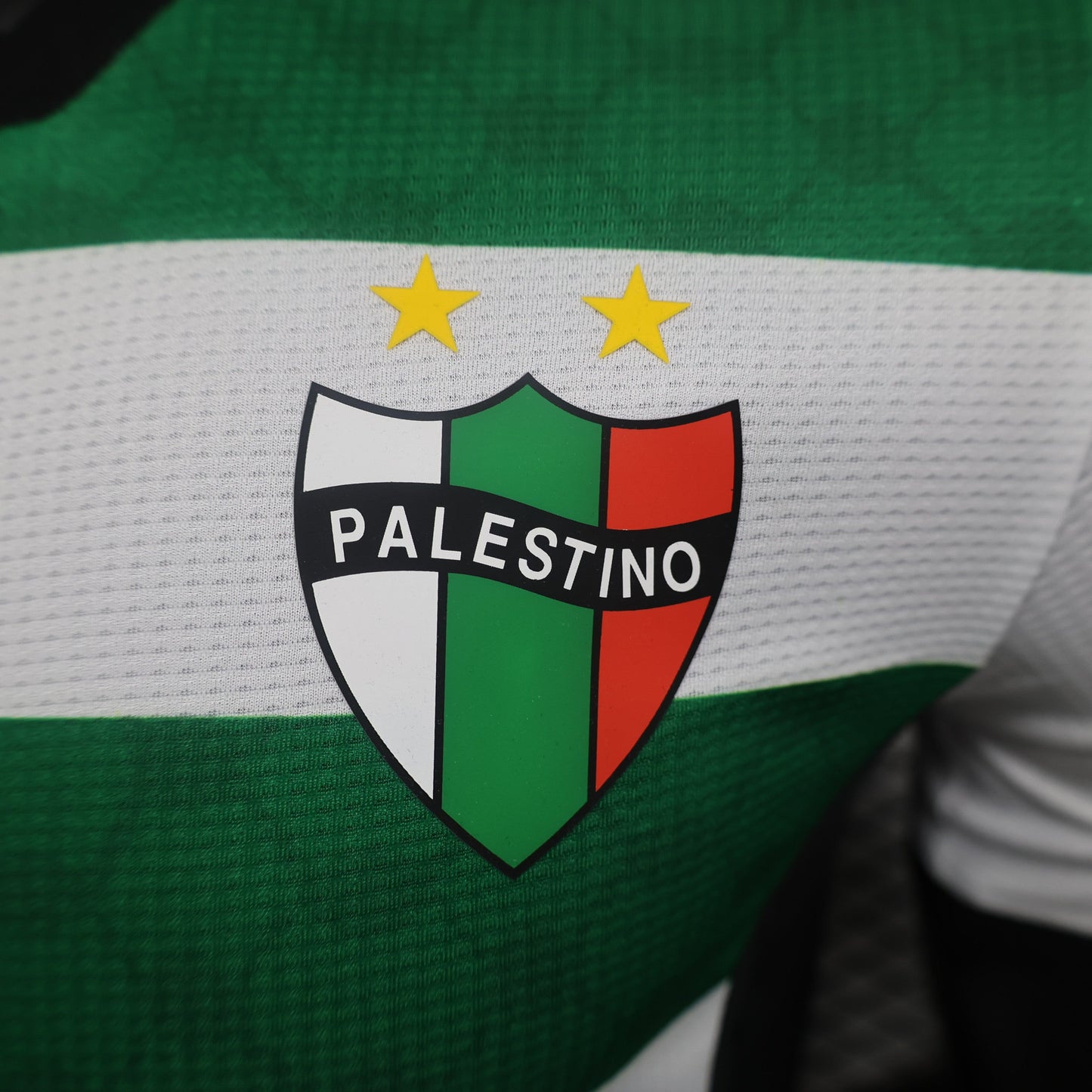 Deportivo Palestino Third Kit 23/24
