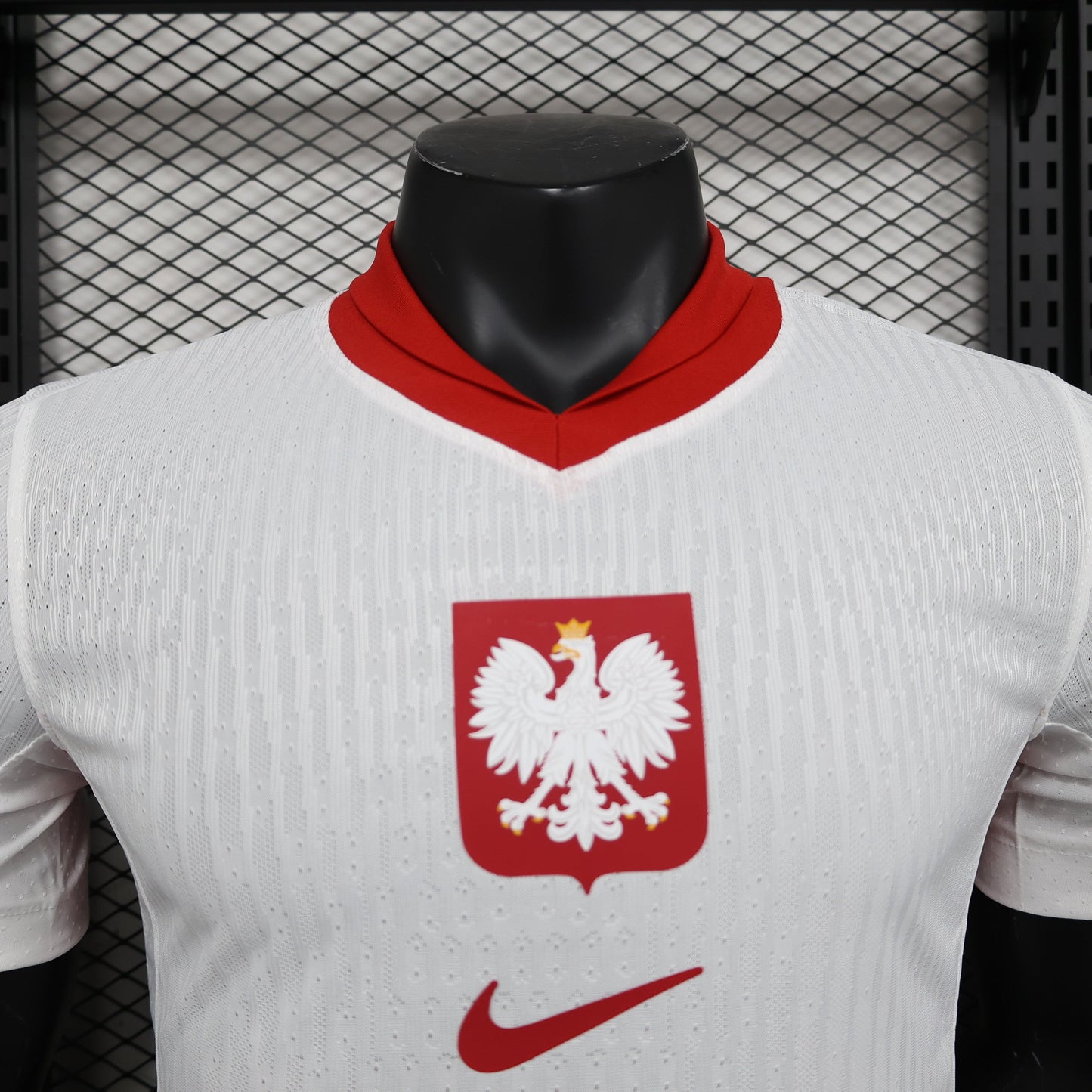 Poland Home Kit 23/24