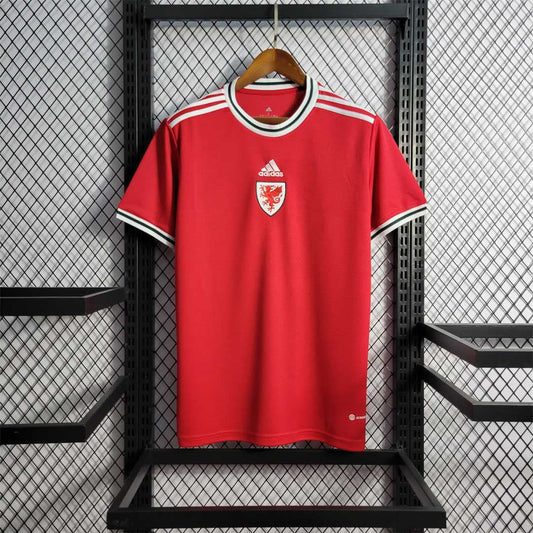 Wales Home Kit 21/22