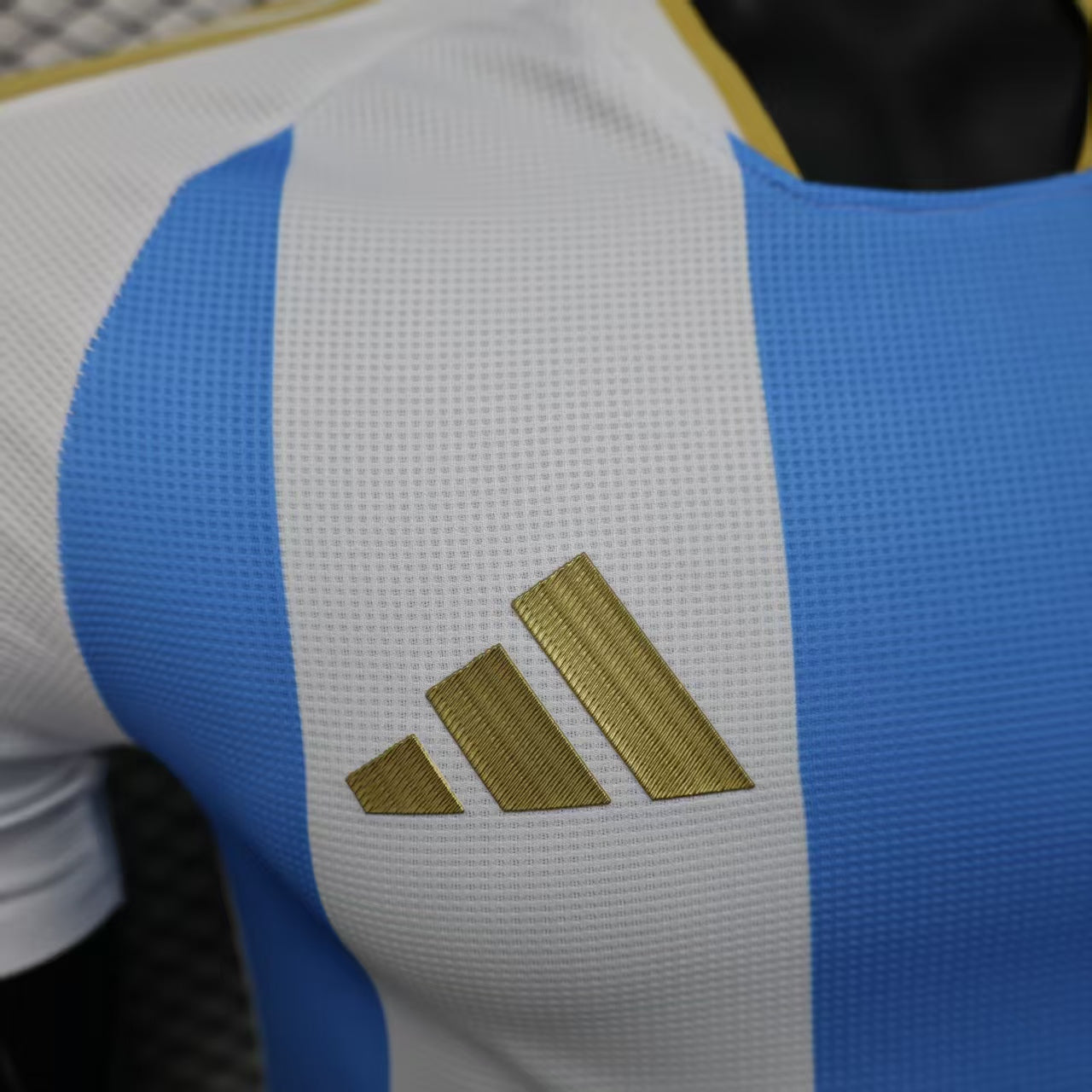 Argentina Home World Cup Kit 25/26