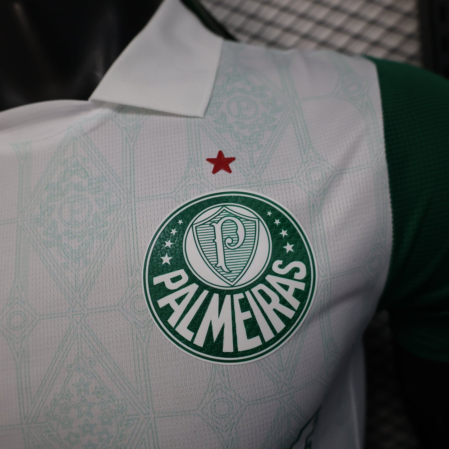 Palmeiras Away Kit 25/26