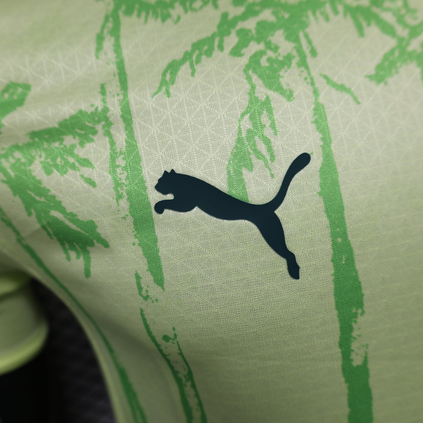 Palmeiras Club World Cup Away Kit 24/25