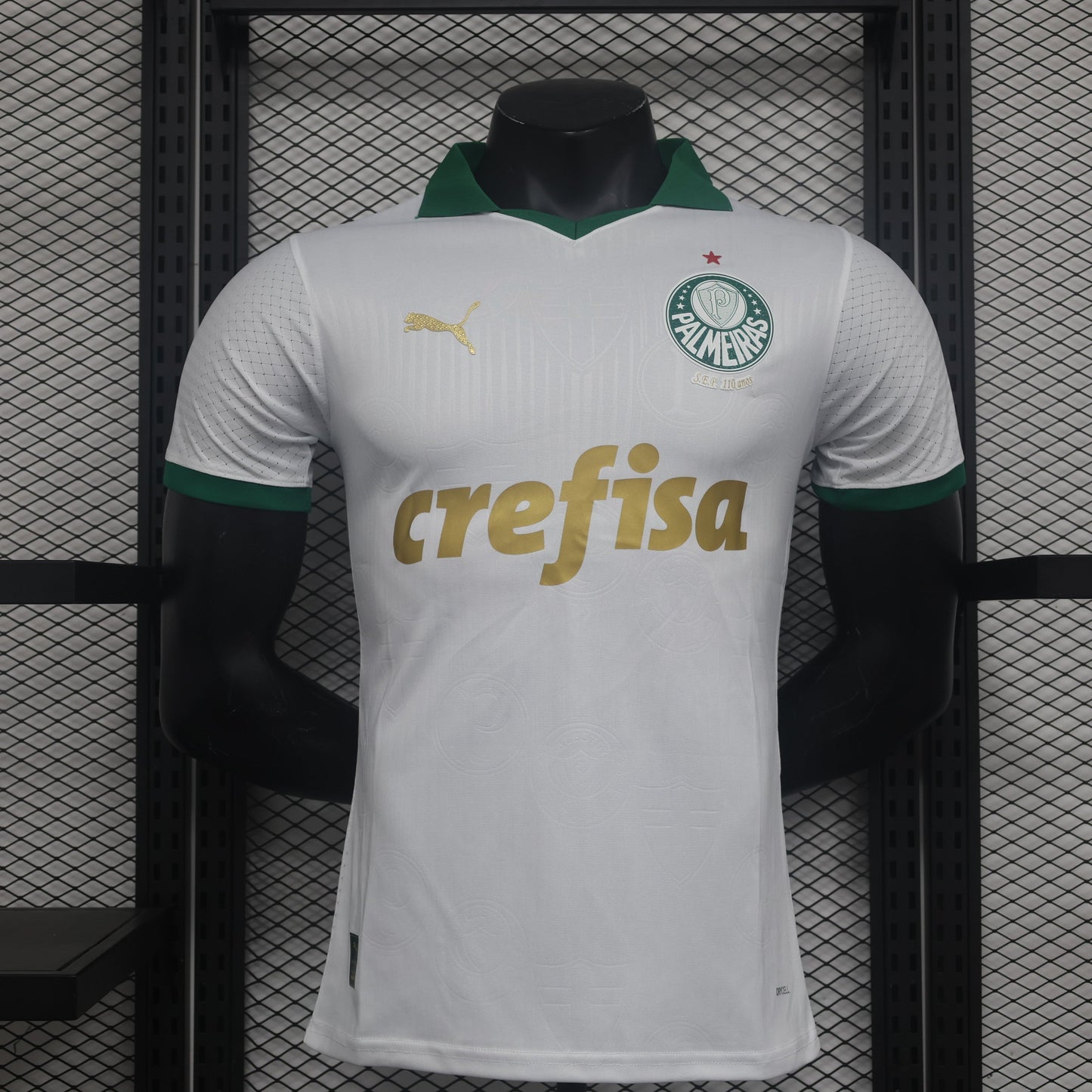 Palmeiras Away Kit 24/25