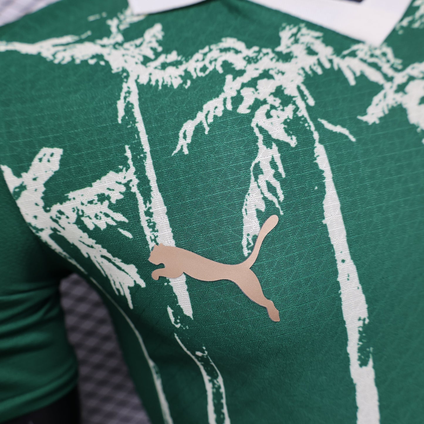 Palmeiras Club World Cup Home Kit 24/25
