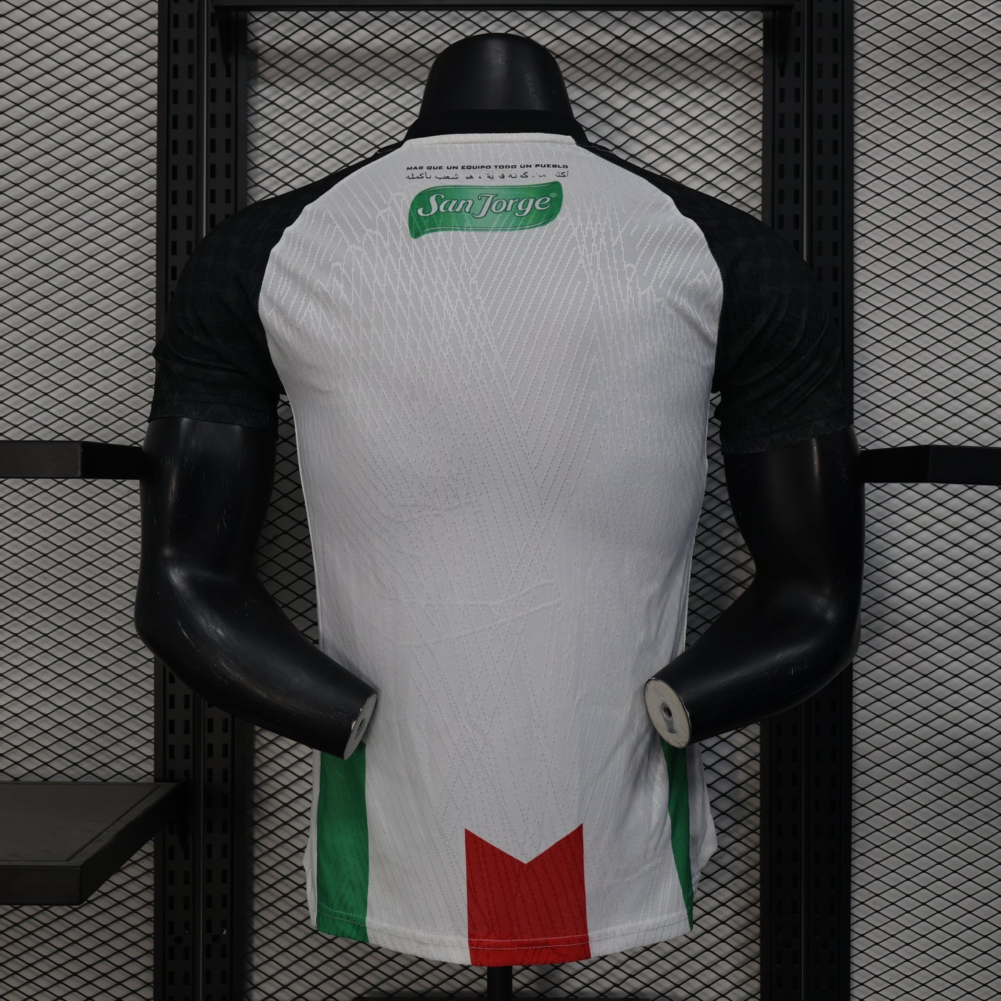 Deportivo Palestino Home Kit 24/25