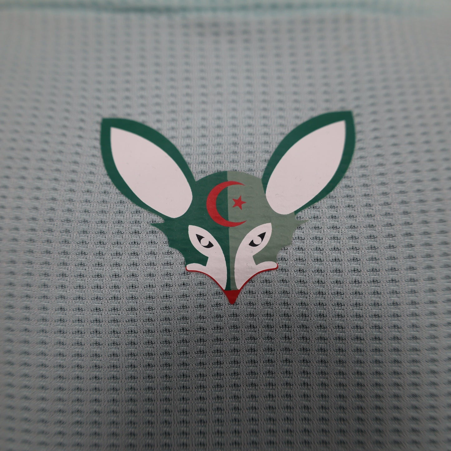 Algeria Special Kit 23/24