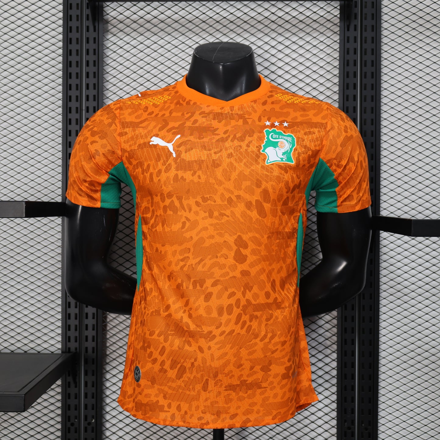 Ivory Coast World Cup Home Kit 25/26