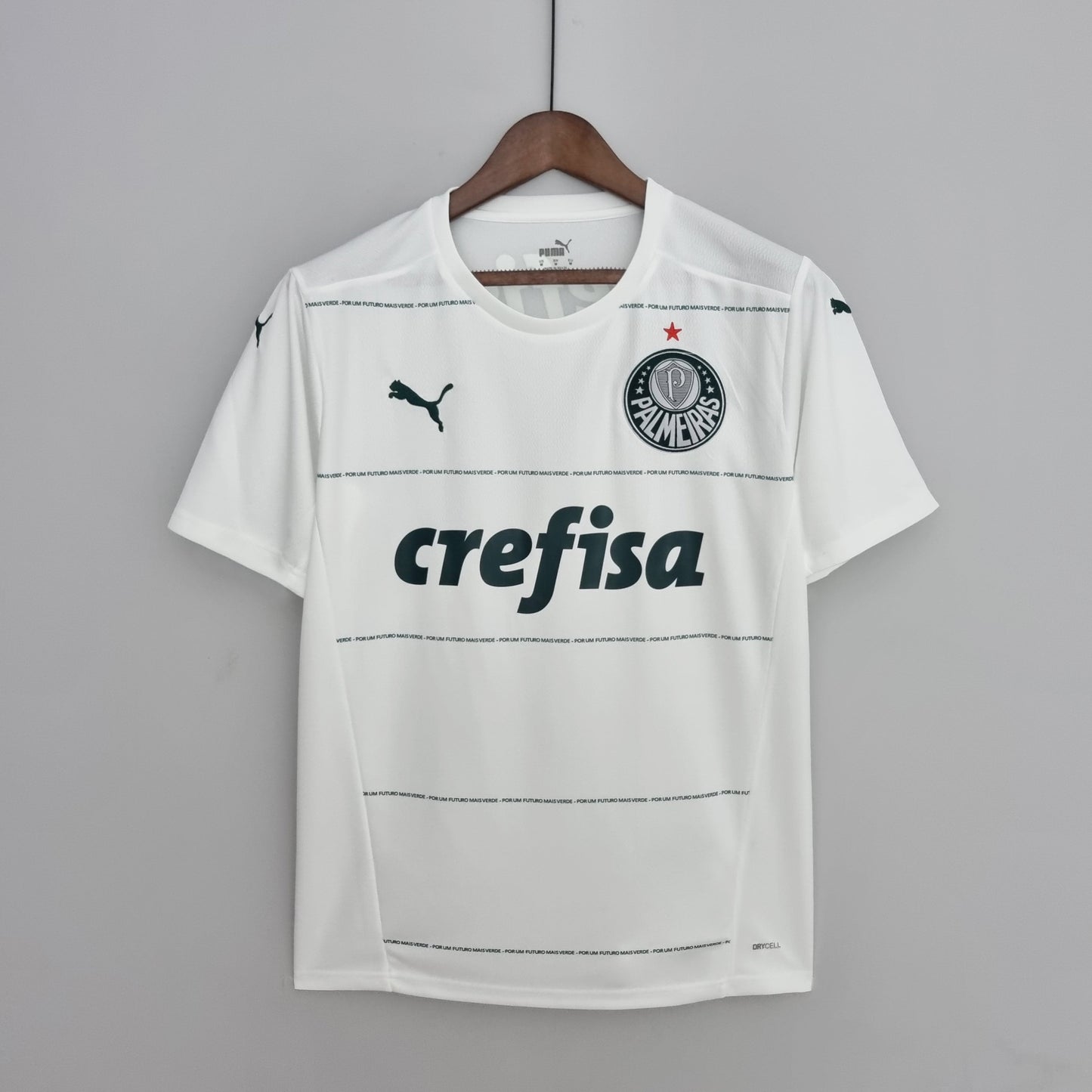 Palmeiras Away Kit *no sponsor* 22/23